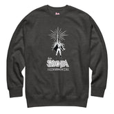 Barbie She-Ra Grey Sweatshirt