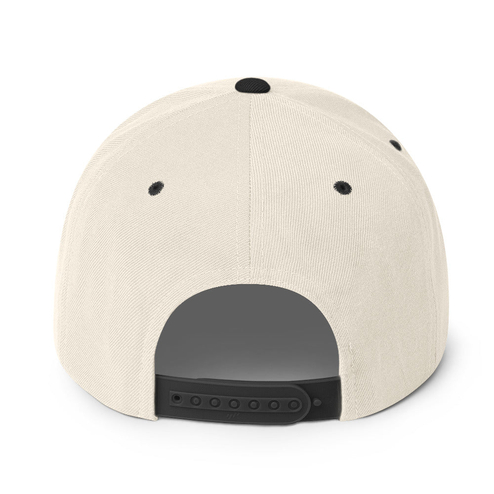 Masters of the Universe Movie Colorblock Logo Natural Hat
