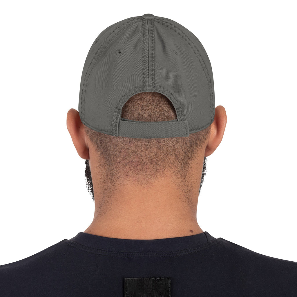 Masters of the Universe The Movie Logo Grey Dad Hat